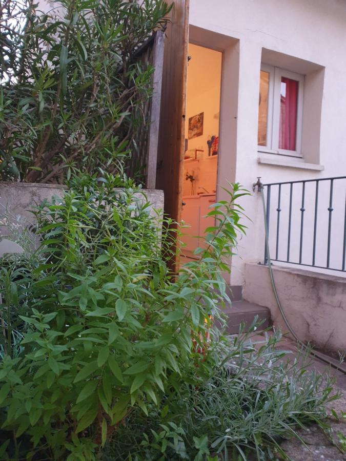 אביניון Appartement Terrasse - Hypercentre מראה חיצוני תמונה